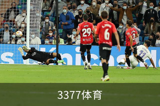 3377体育